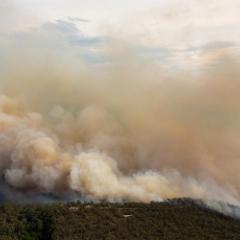 Bushfire