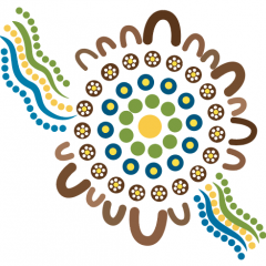 Culturally Responsive Models of Care
