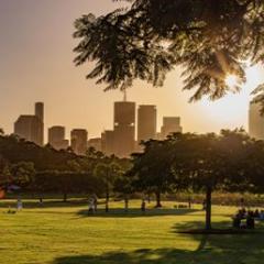 Moment in the sun: why greenspace planning is key to better health