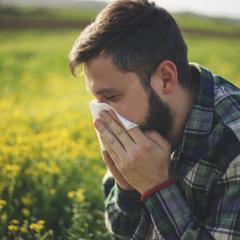 Pollen detectives work to predict asthma and hay fever