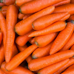 Carrots