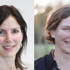 School of Public Health researchers make ‘highly cited’ list for 2016