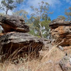 Fix housing and you'll reduce risks of coronavirus and other disease in remote Indigenous communities