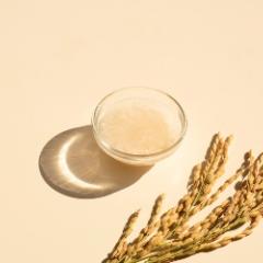 Bowl of rice and grain plant